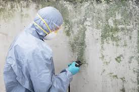 Best Mold Remediation for Healthcare Facilities  in Bonsall, CA